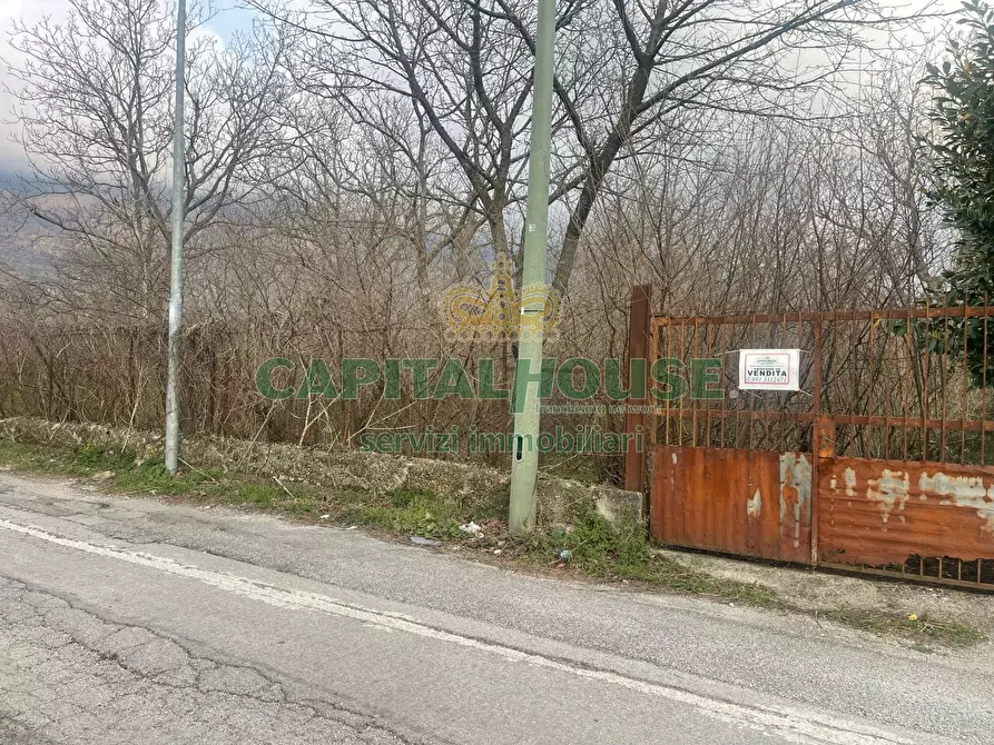 Immagine 2 di Terreno agricolo in vendita  a Avella
