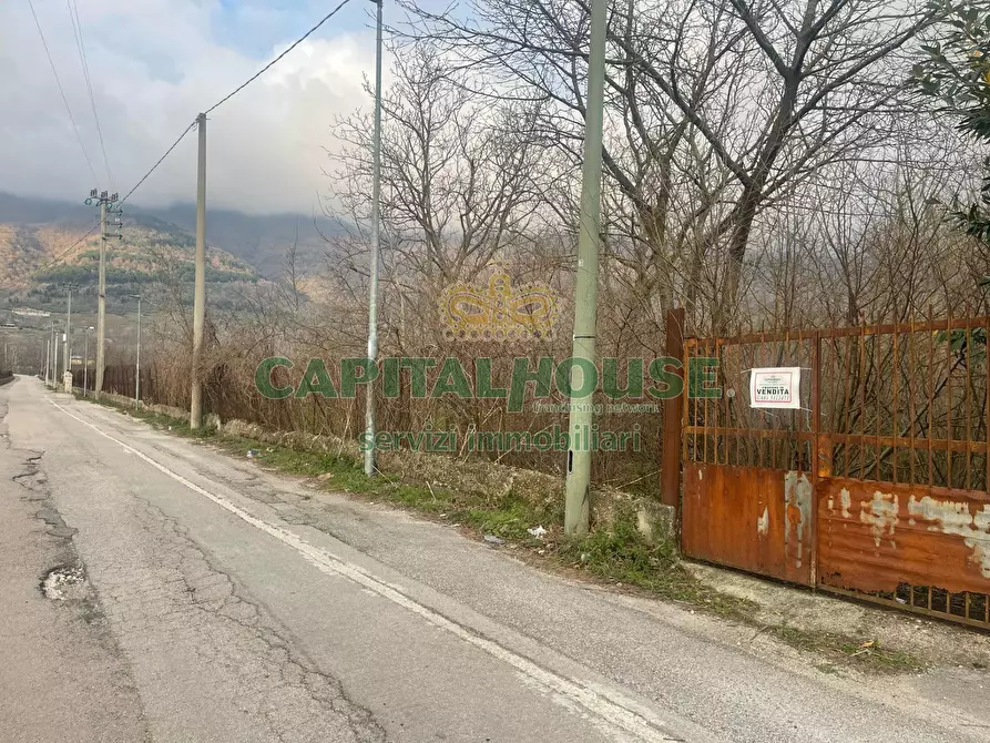 Immagine 3 di Terreno agricolo in vendita  a Avella