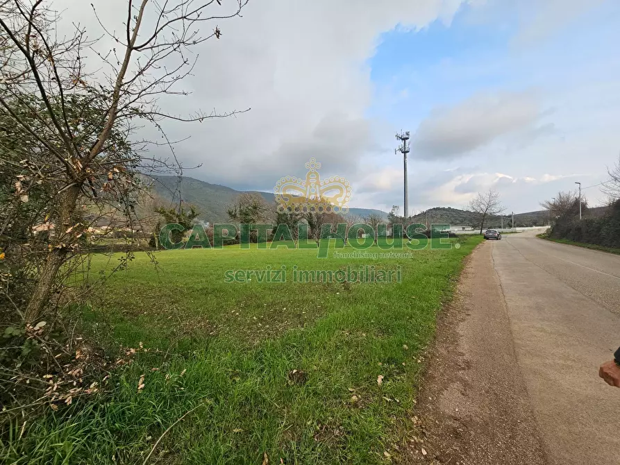 Immagine 1 di Terreno agricolo in vendita  a Giano Vetusto