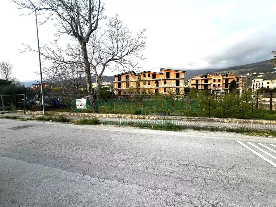 Immagine 3 di Terreno residenziale in vendita  a Mugnano Del Cardinale