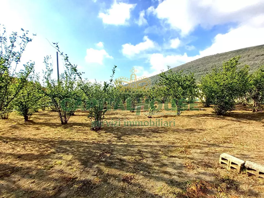 Immagine 7 di Terreno agricolo in vendita  a Sirignano