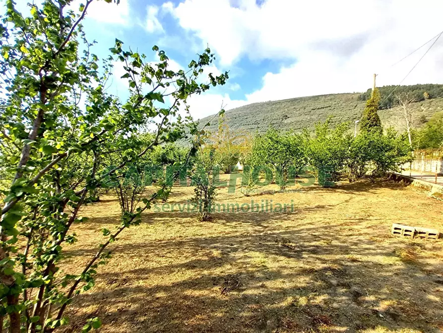 Immagine 8 di Terreno agricolo in vendita  a Sirignano