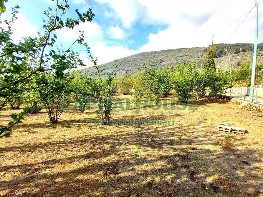 Immagine 13 di Terreno agricolo in vendita  a Sirignano