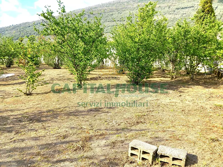 Immagine 17 di Terreno agricolo in vendita  a Sirignano