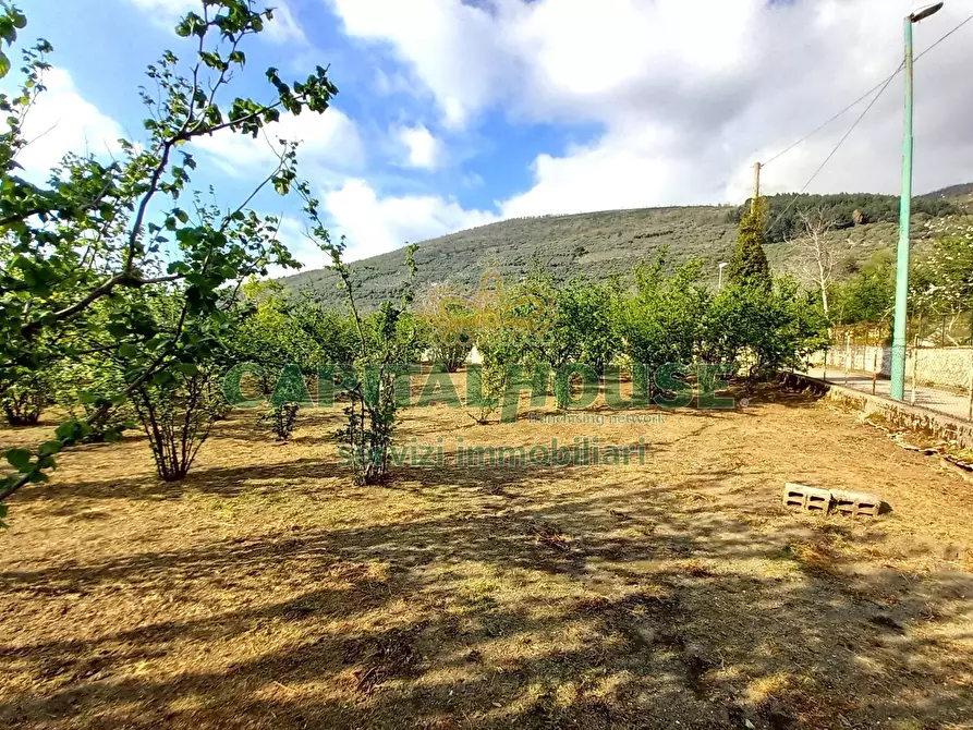 Immagine 22 di Terreno agricolo in vendita  a Sirignano