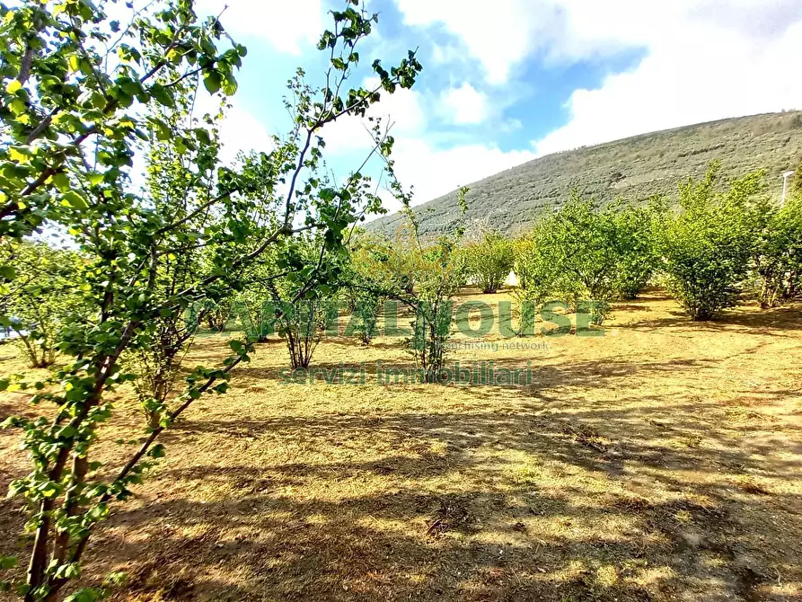Immagine 24 di Terreno agricolo in vendita  a Sirignano