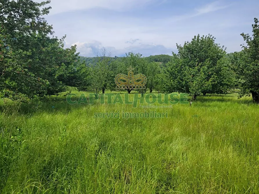 Immagine 5 di Terreno agricolo in vendita  a Mercato San Severino