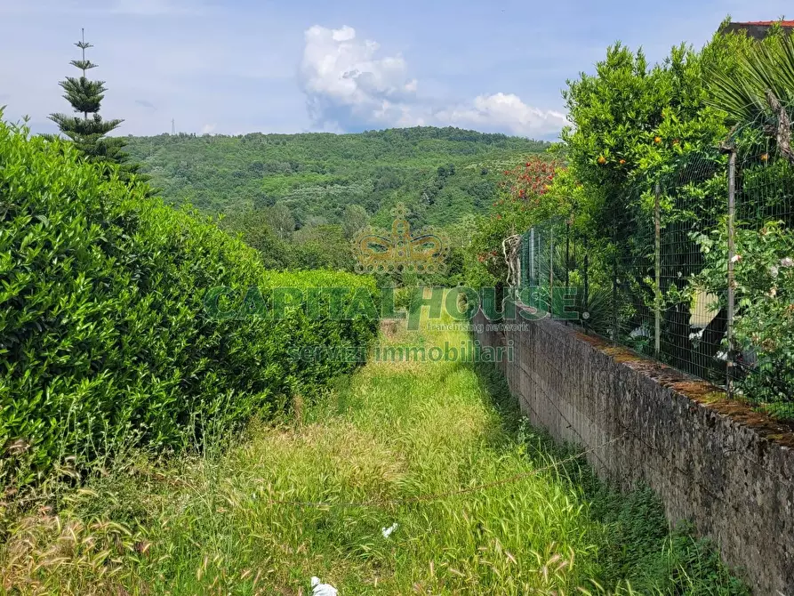 Immagine 6 di Terreno agricolo in vendita  a Mercato San Severino