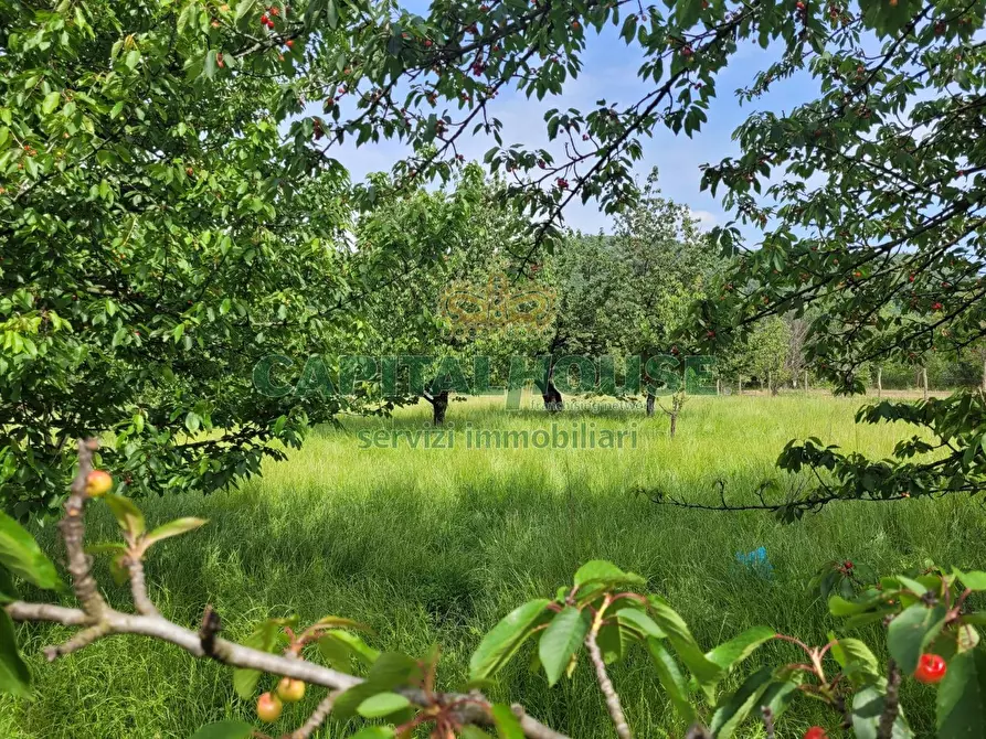 Immagine 1 di Terreno agricolo in vendita  a Mercato San Severino