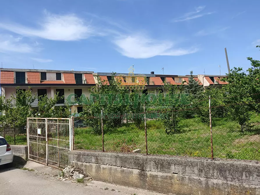 Immagine 3 di Terreno agricolo in vendita  a Sirignano