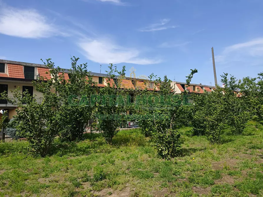 Immagine 4 di Terreno agricolo in vendita  a Sirignano