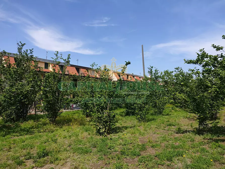 Immagine 12 di Terreno agricolo in vendita  a Sirignano