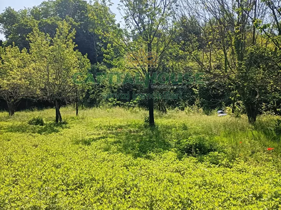 Immagine 1 di Terreno agricolo in vendita  a Mercato San Severino