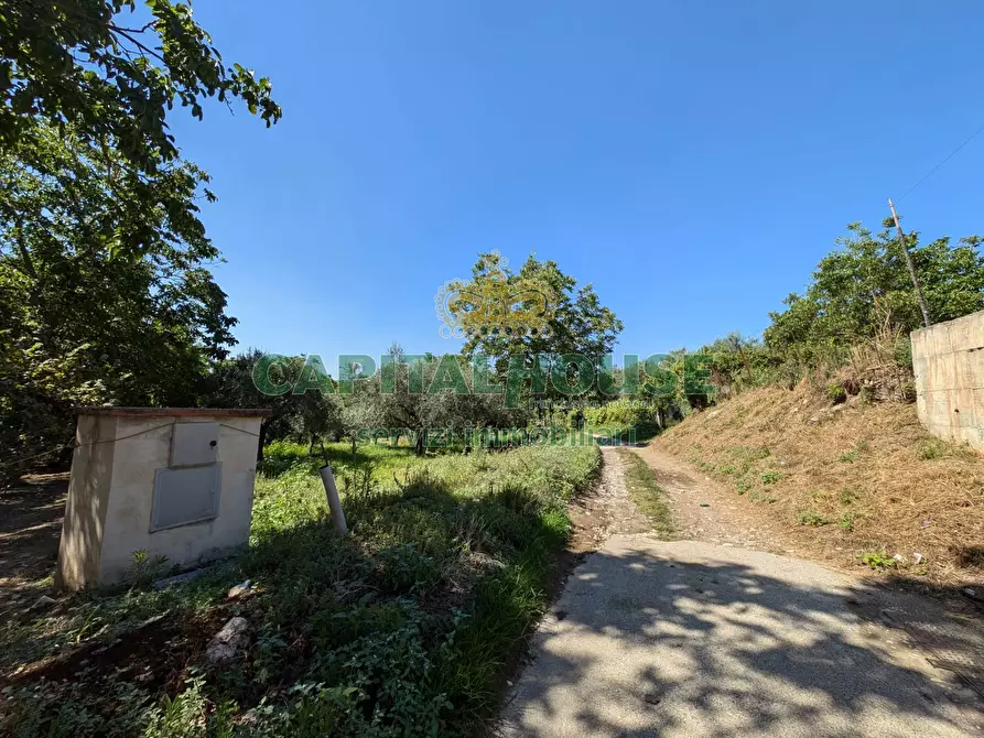 Immagine 1 di Terreno agricolo in vendita  a Cicciano