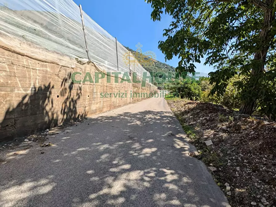 Immagine 5 di Terreno agricolo in vendita  a Cicciano
