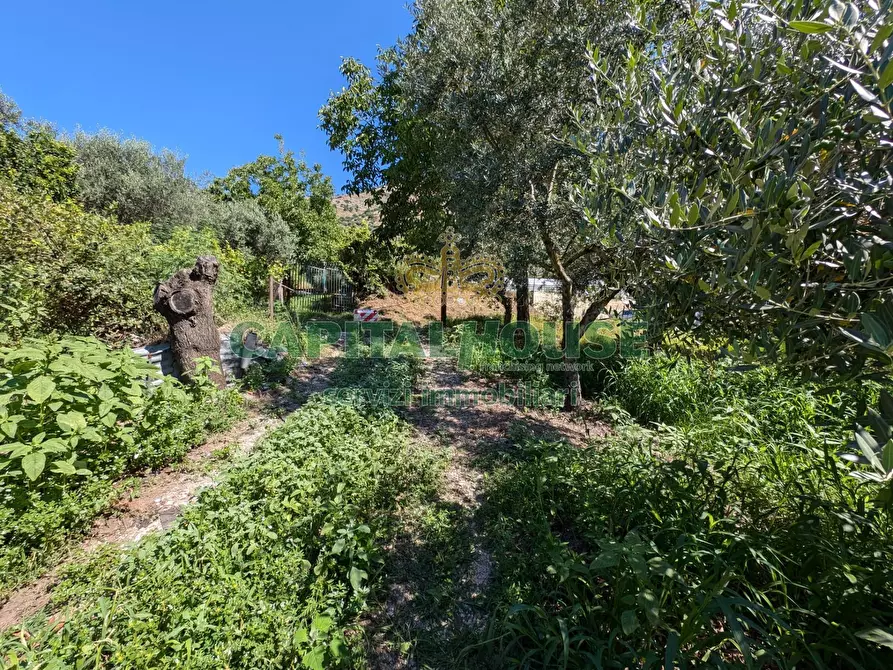 Immagine 11 di Terreno agricolo in vendita  a Cicciano