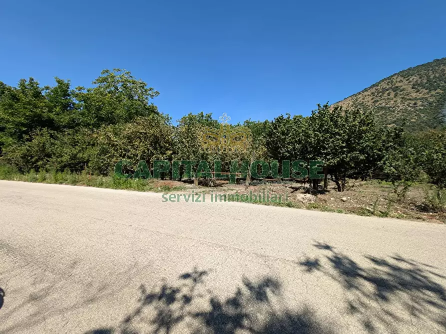 Immagine 2 di Terreno agricolo in vendita  a Cicciano