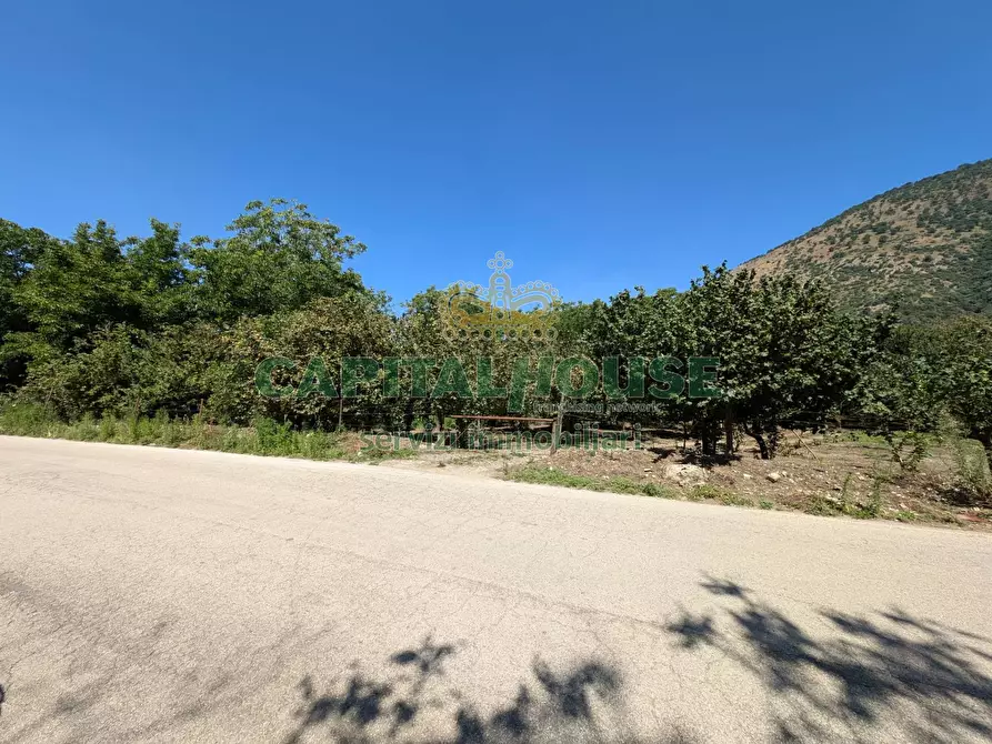 Immagine 3 di Terreno agricolo in vendita  a Cicciano