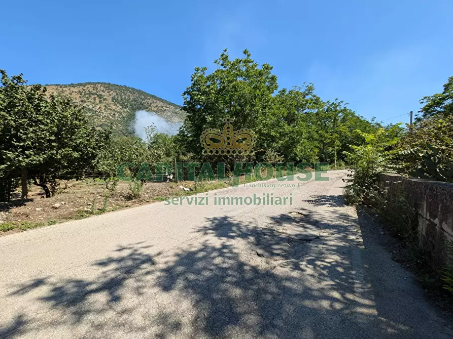 Immagine 4 di Terreno agricolo in vendita  a Cicciano