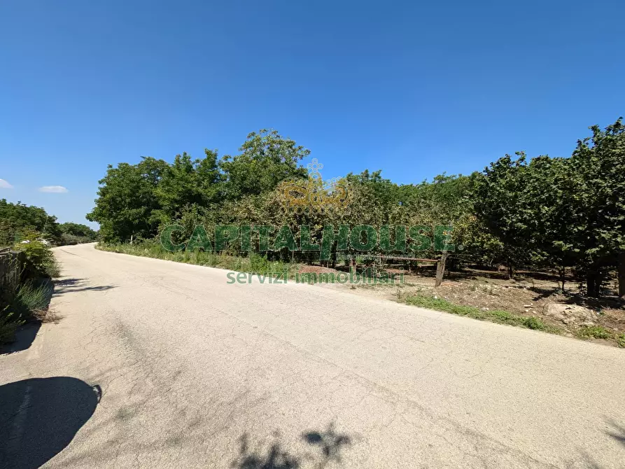 Immagine 7 di Terreno agricolo in vendita  a Cicciano