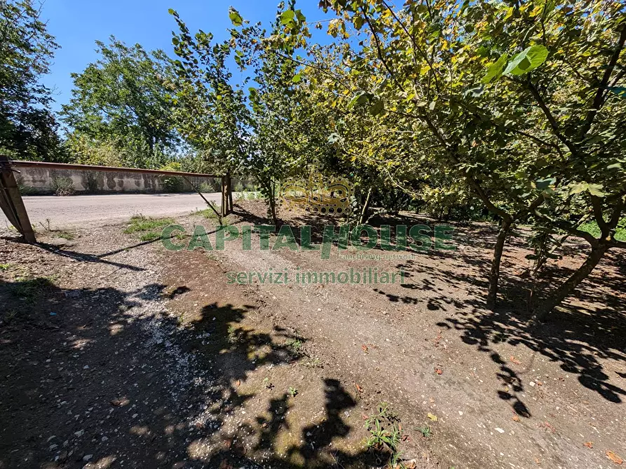 Immagine 14 di Terreno agricolo in vendita  a Cicciano
