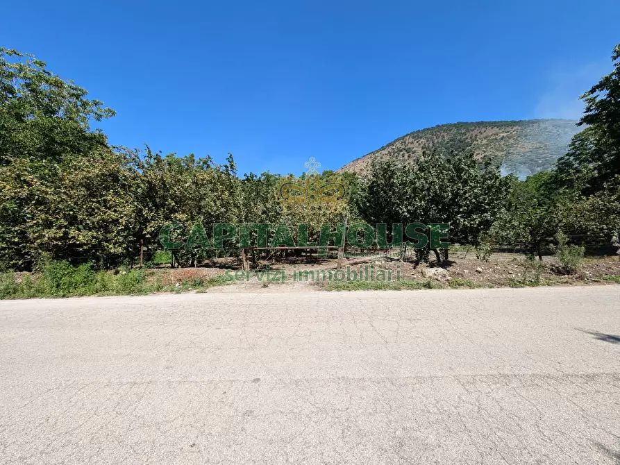 Immagine 15 di Terreno agricolo in vendita  a Cicciano