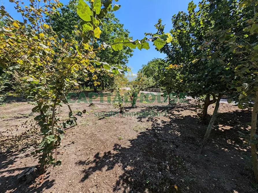 Immagine 16 di Terreno agricolo in vendita  a Cicciano