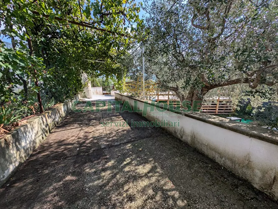 Immagine 4 di Terreno agricolo in vendita  a Roccarainola