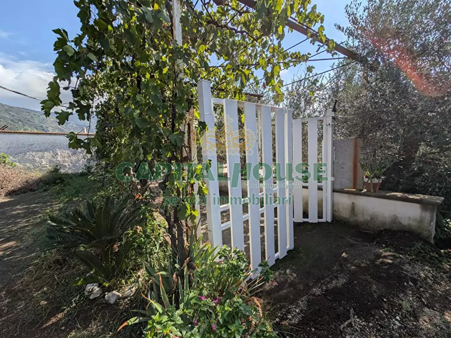 Immagine 5 di Terreno agricolo in vendita  a Roccarainola