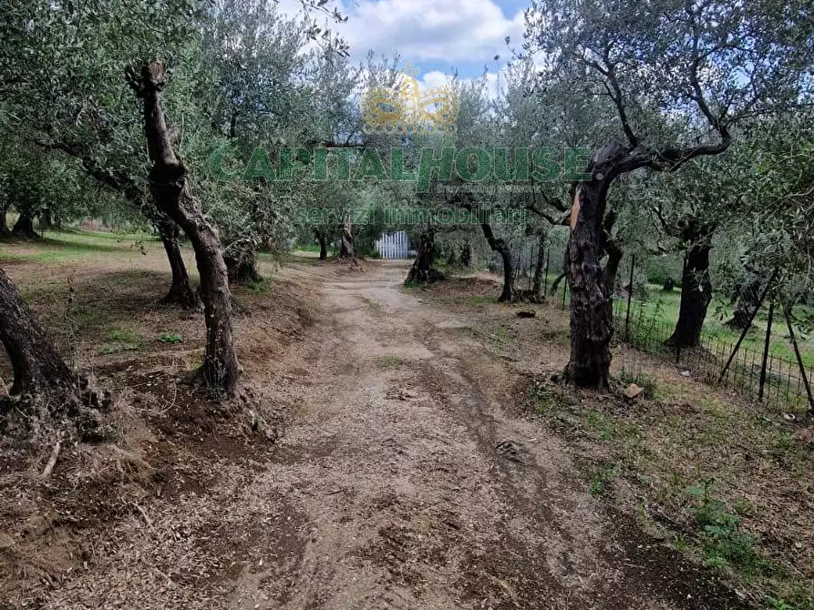 Immagine 13 di Terreno agricolo in vendita  a Roccarainola