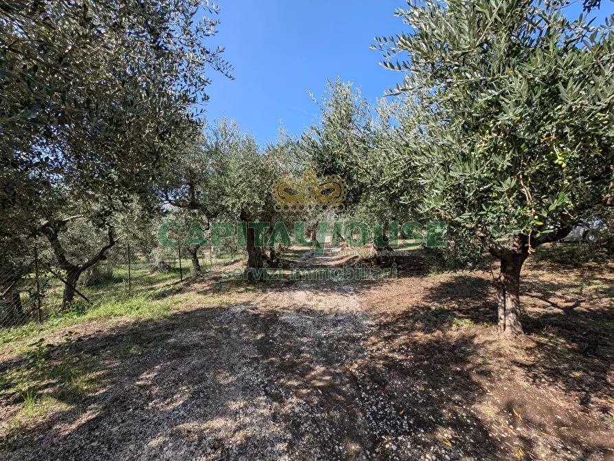 Immagine 14 di Terreno agricolo in vendita  a Roccarainola