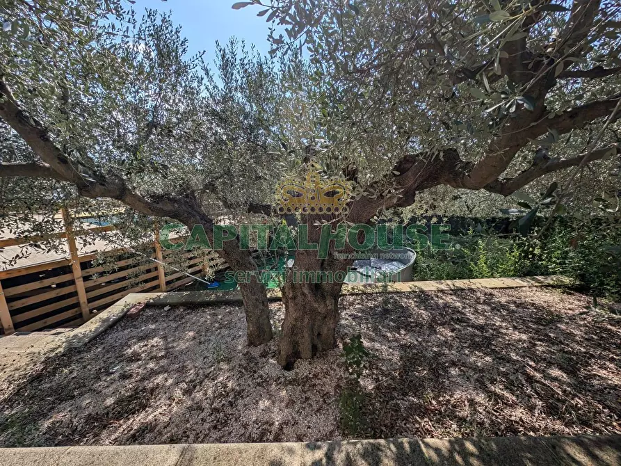 Immagine 15 di Terreno agricolo in vendita  a Roccarainola