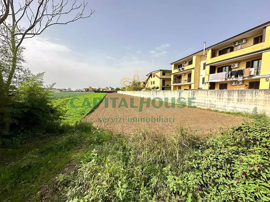 Immagine 1 di Terreno residenziale in vendita  a San Tammaro