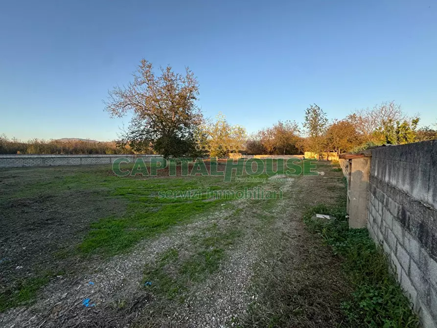 Immagine 2 di Terreno agricolo in affitto  a Saviano