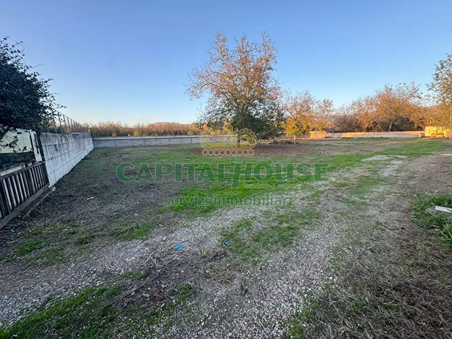 Immagine 4 di Terreno agricolo in affitto  a Saviano