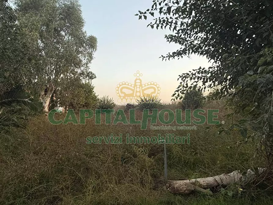 Immagine 5 di Terreno agricolo in vendita  a Scisciano