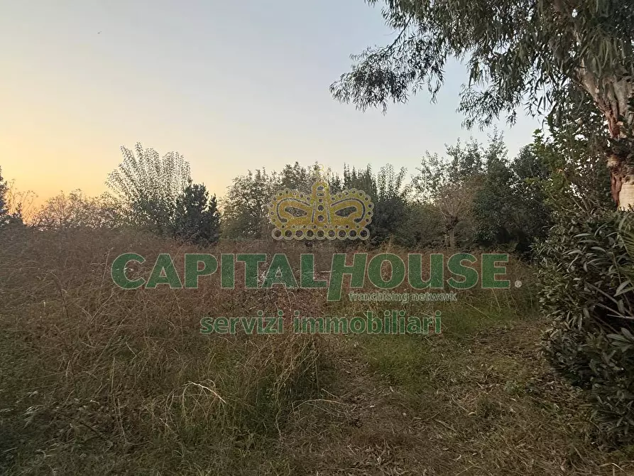 Immagine 6 di Terreno agricolo in vendita  a Scisciano