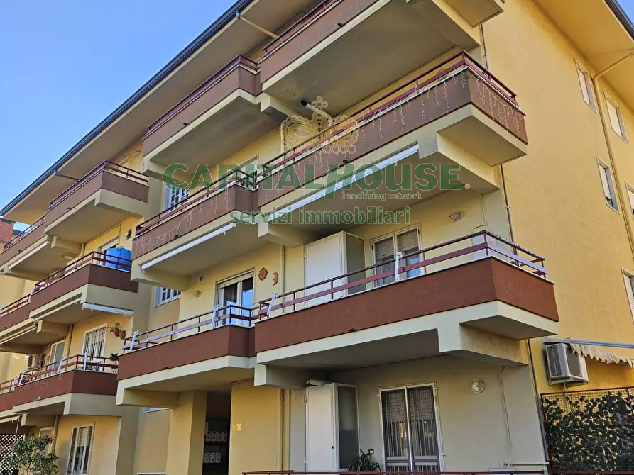 Immagine 26 di Appartamento in vendita  a Pignataro Maggiore