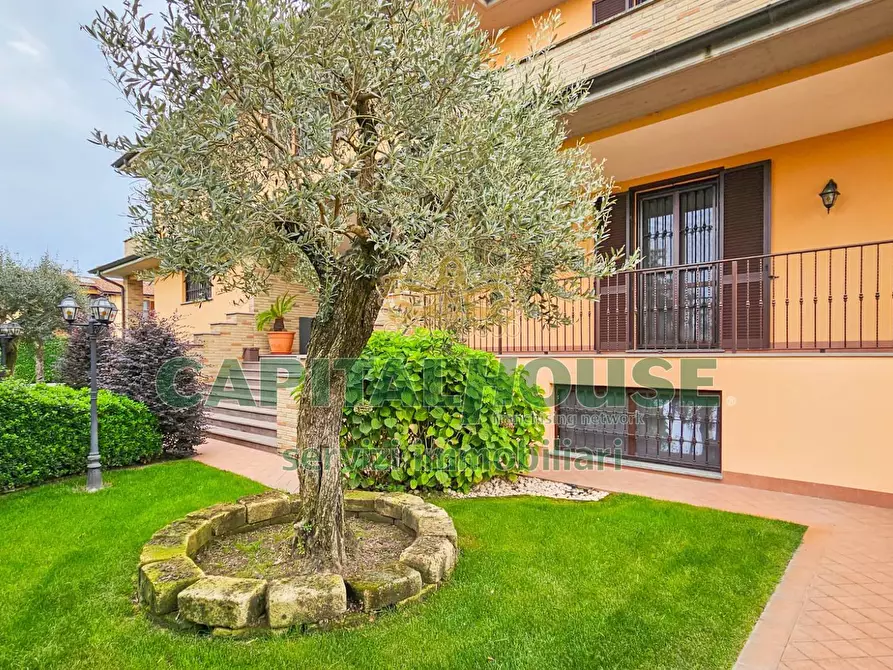 Immagine 26 di Villa in vendita  a Ceranova