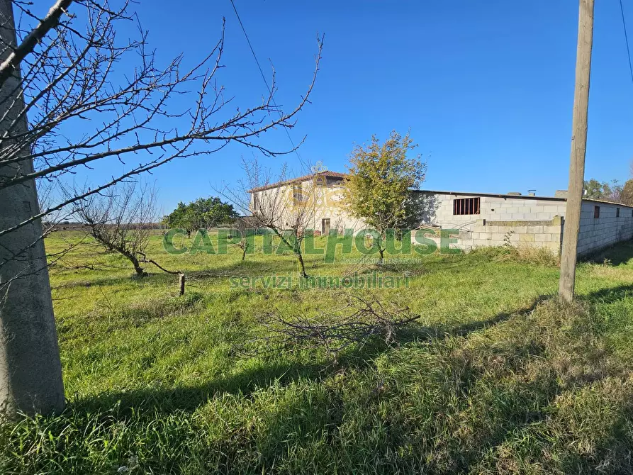 Immagine 1 di Rustico / casale in vendita  a Pignataro Maggiore