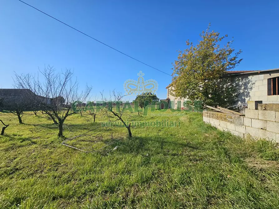 Immagine 3 di Rustico / casale in vendita  a Pignataro Maggiore