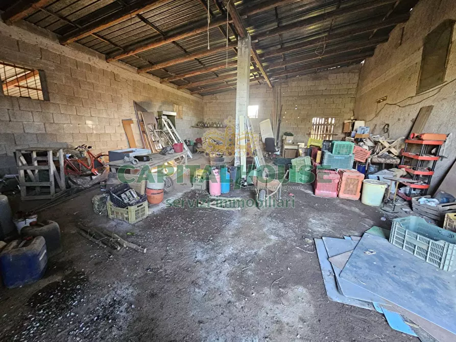 Immagine 11 di Rustico / casale in vendita  a Pignataro Maggiore