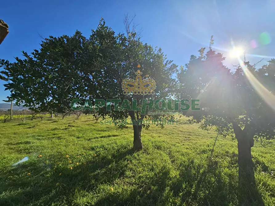 Immagine 14 di Rustico / casale in vendita  a Pignataro Maggiore