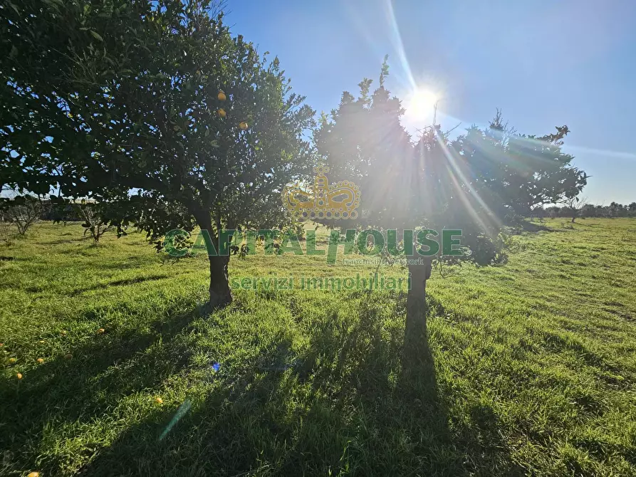 Immagine 18 di Rustico / casale in vendita  a Pignataro Maggiore