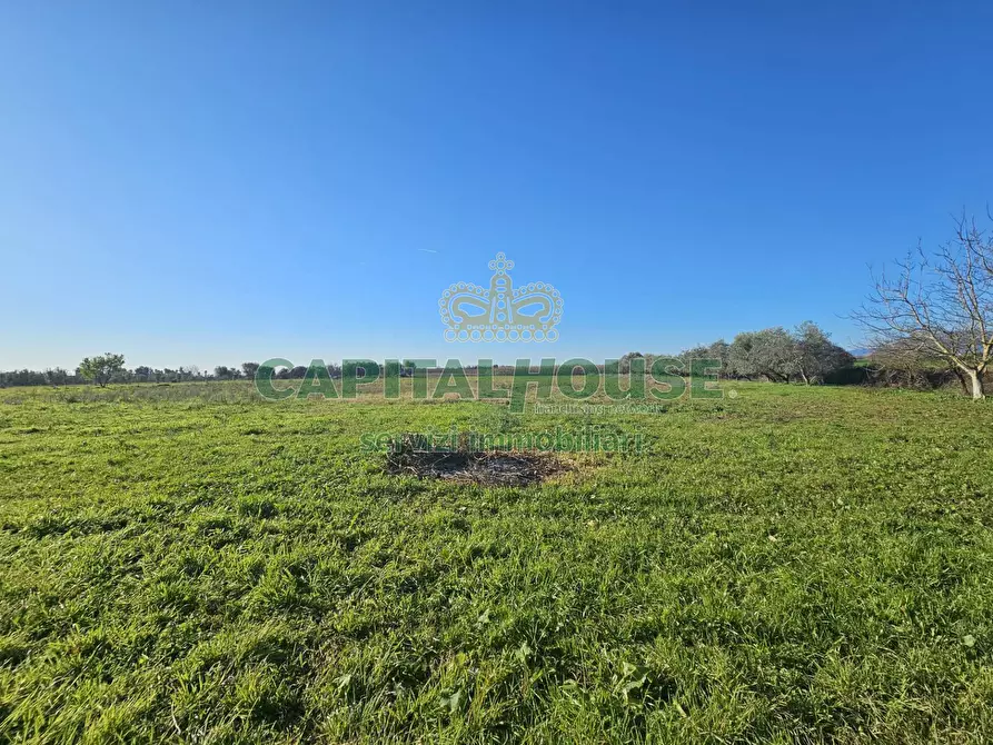 Immagine 20 di Rustico / casale in vendita  a Pignataro Maggiore