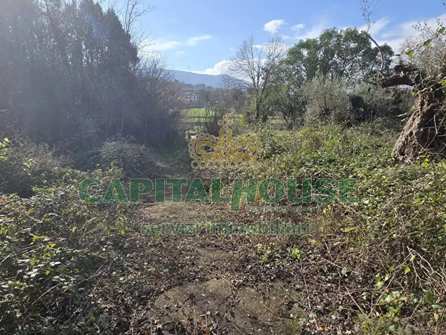 Immagine 12 di Casa indipendente in vendita  a Sant'agata De' Goti