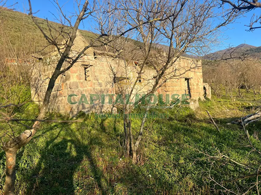 Immagine 3 di Terreno agricolo in vendita  a Sirignano