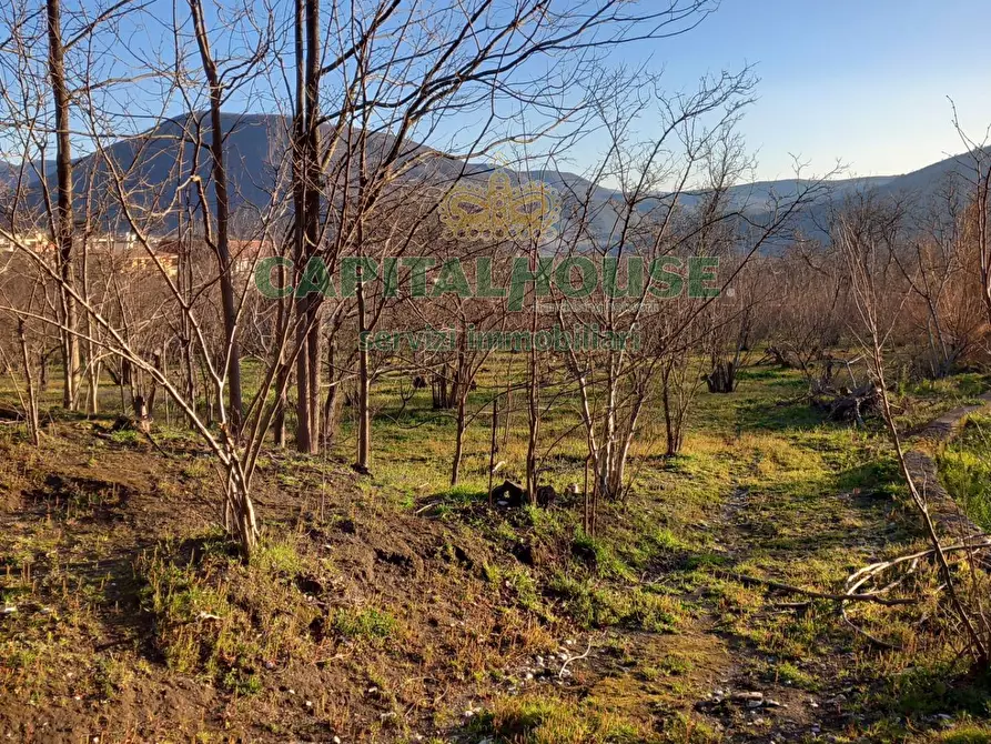 Immagine 6 di Terreno agricolo in vendita  a Sirignano
