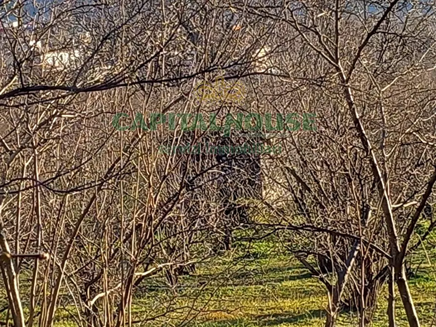 Immagine 10 di Terreno agricolo in vendita  a Sirignano