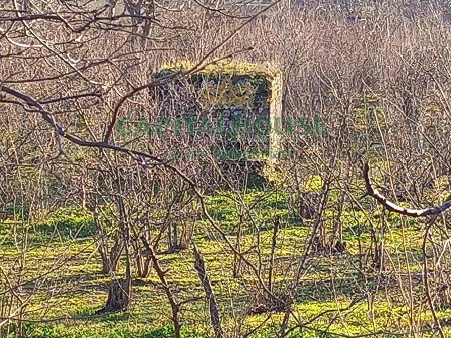 Immagine 12 di Terreno agricolo in vendita  a Sirignano